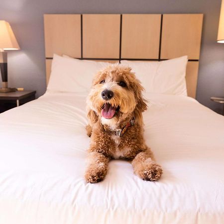 Sonesta Simply Suites Phoenix Glendale Zewnętrze zdjęcie